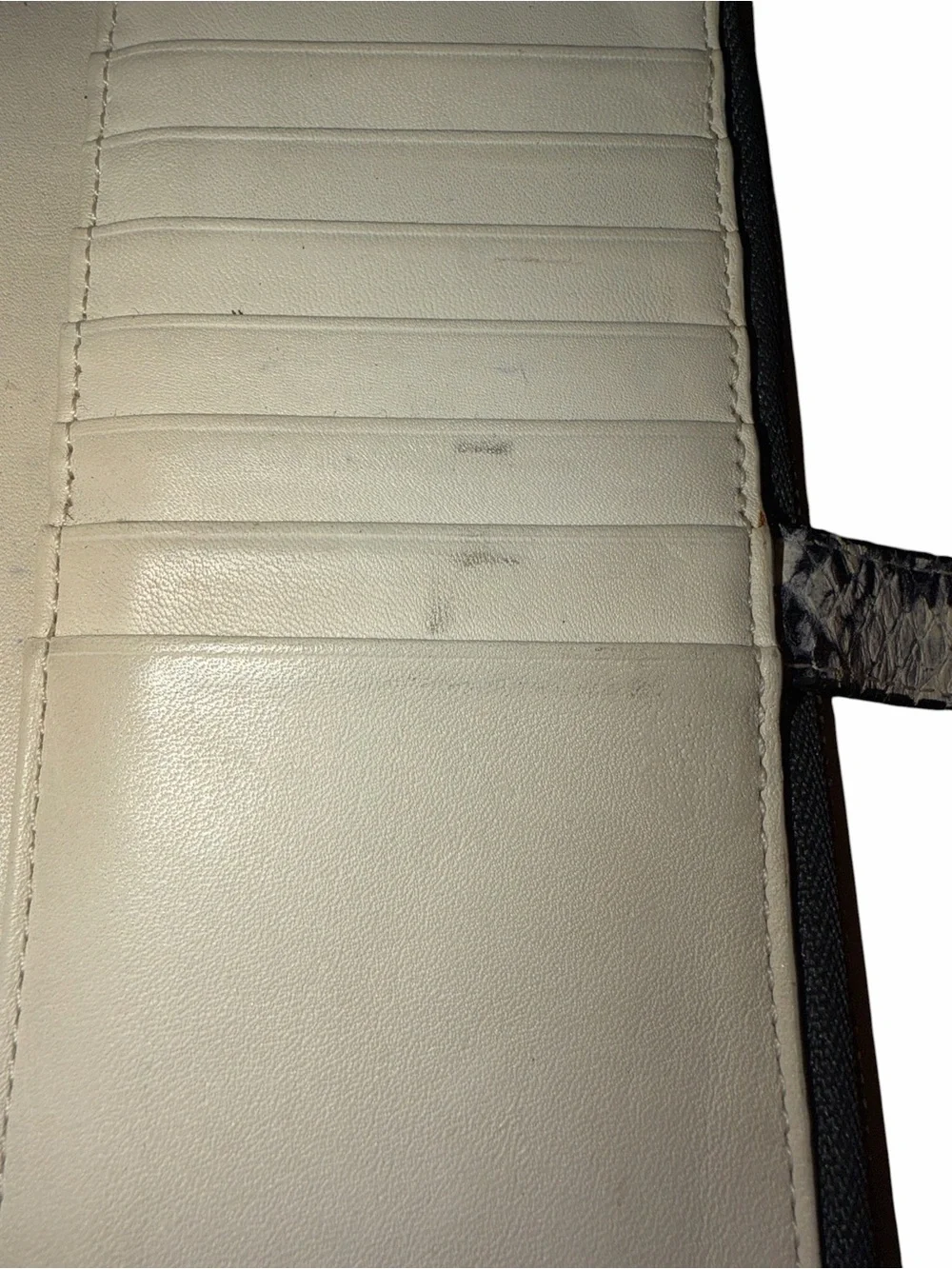 Coach snake print